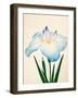 Sazanami, No. 68, 1890-null-Framed Giclee Print