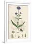 Gramercy White