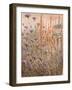 Scabious & Docks-Lincoln Seligman-Framed Giclee Print