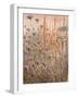 Scabious & Docks-Lincoln Seligman-Framed Giclee Print
