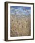 Scabious-Lincoln Seligman-Framed Giclee Print