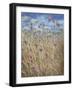 Scabious-Lincoln Seligman-Framed Giclee Print