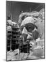 Scaffolding around Head of Abraham Lincoln, Partially Sculptured During Mt. Rushmore Construction-Alfred Eisenstaedt-Mounted Premium Photographic Print