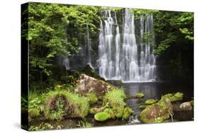 Scale Haw Force Near Hebden in Wharfedale, Yorkshire Dales, Yorkshire, England-Mark Sunderland-Stretched Canvas