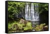 Scale Haw Force Near Hebden in Wharfedale, Yorkshire Dales, Yorkshire, England-Mark Sunderland-Framed Stretched Canvas