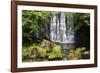 Scale Haw Force Near Hebden in Wharfedale, Yorkshire Dales, Yorkshire, England-Mark Sunderland-Framed Photographic Print