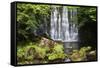 Scale Haw Force Near Hebden in Wharfedale, Yorkshire Dales, Yorkshire, England-Mark Sunderland-Framed Stretched Canvas