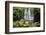 Scale Haw Force Near Hebden in Wharfedale, Yorkshire Dales, Yorkshire, England-Mark Sunderland-Framed Photographic Print