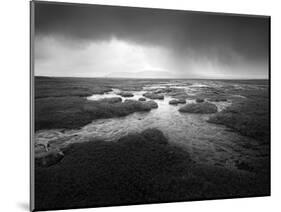 Scale Moor-Martin Henson-Mounted Photographic Print