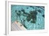 Scale on Blue Lagoon-nitrogenic.com-Framed Photographic Print