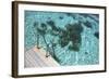 Scale on Blue Lagoon-nitrogenic.com-Framed Photographic Print