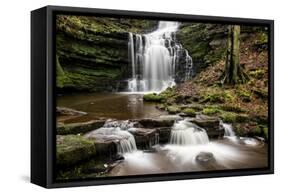 Scaleber Force Waterfall, Yorkshire Dales, Yorkshire, England, United Kingdom, Europe-Bill Ward-Framed Stretched Canvas