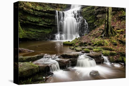 Scaleber Force Waterfall, Yorkshire Dales, Yorkshire, England, United Kingdom, Europe-Bill Ward-Stretched Canvas