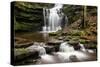 Scaleber Force Waterfall, Yorkshire Dales, Yorkshire, England, United Kingdom, Europe-Bill Ward-Stretched Canvas