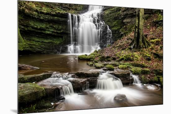 Scaleber Force Waterfall, Yorkshire Dales, Yorkshire, England, United Kingdom, Europe-Bill Ward-Mounted Premium Photographic Print