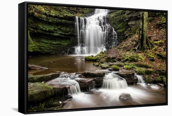 Scaleber Force Waterfall, Yorkshire Dales, Yorkshire, England, United Kingdom, Europe-Bill Ward-Framed Stretched Canvas