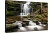 Scaleber Force Waterfall, Yorkshire Dales, Yorkshire, England, United Kingdom, Europe-Bill Ward-Stretched Canvas