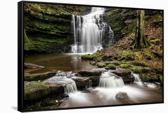 Scaleber Force Waterfall, Yorkshire Dales, Yorkshire, England, United Kingdom, Europe-Bill Ward-Framed Stretched Canvas