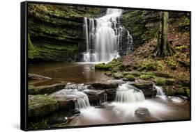 Scaleber Force Waterfall, Yorkshire Dales, Yorkshire, England, United Kingdom, Europe-Bill Ward-Framed Stretched Canvas
