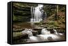 Scaleber Force Waterfall, Yorkshire Dales, Yorkshire, England, United Kingdom, Europe-Bill Ward-Framed Stretched Canvas