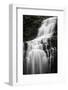 Scaleber Force Waterfall, Yorkshire Dales, Yorkshire, England, United Kingdom, Europe-Bill Ward-Framed Photographic Print