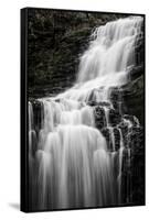Scaleber Force Waterfall, Yorkshire Dales, Yorkshire, England, United Kingdom, Europe-Bill Ward-Framed Stretched Canvas