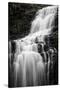 Scaleber Force Waterfall, Yorkshire Dales, Yorkshire, England, United Kingdom, Europe-Bill Ward-Stretched Canvas