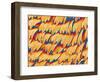 Scales of a Swallowtail Butterfly-Micro Discovery-Framed Photographic Print