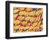 Scales of a Swallowtail Butterfly-Micro Discovery-Framed Photographic Print