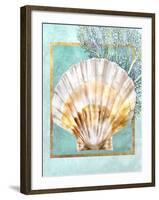 Scallop Shell and Coral-Lori Schory-Framed Art Print