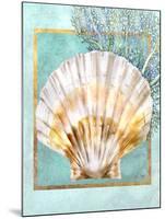 Scallop Shell and Coral-Lori Schory-Mounted Art Print