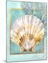 Scallop Shell and Coral-Lori Schory-Mounted Art Print