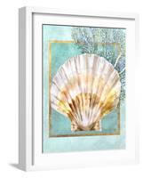 Scallop Shell and Coral-Lori Schory-Framed Art Print