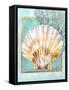 Scallop Shell and Coral-Lori Schory-Framed Stretched Canvas