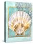 Scallop Shell and Coral-Lori Schory-Stretched Canvas