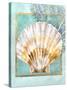 Scallop Shell and Coral-Lori Schory-Stretched Canvas