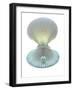 Scallop Shell And Pearl-Gavin Kingcome-Framed Photographic Print
