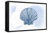 Scallop Shell - Blue - Coastal Icon-Lantern Press-Framed Stretched Canvas