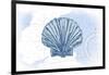 Scallop Shell - Blue - Coastal Icon-Lantern Press-Framed Art Print