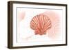 Scallop Shell - Coral - Coastal Icon-Lantern Press-Framed Art Print