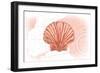 Scallop Shell - Coral - Coastal Icon-Lantern Press-Framed Art Print