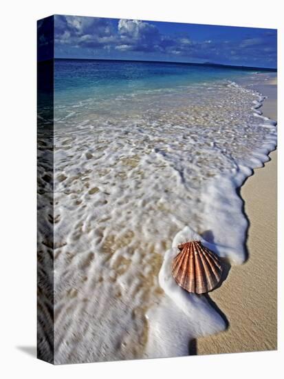 Scallop Shell in the Surf-Martin Harvey-Stretched Canvas