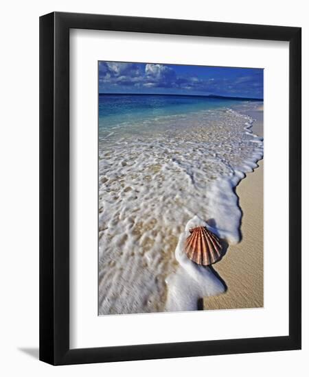 Scallop Shell in the Surf-Martin Harvey-Framed Premium Photographic Print