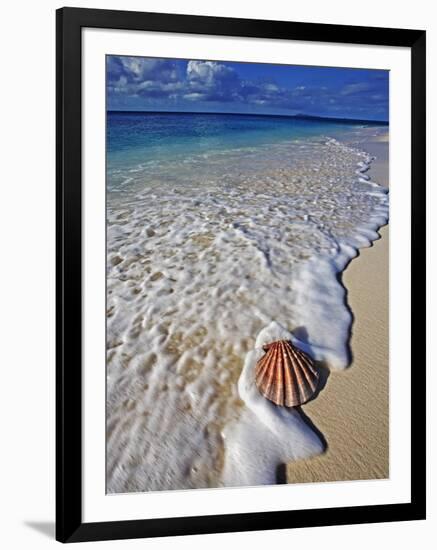 Scallop Shell in the Surf-Martin Harvey-Framed Premium Photographic Print