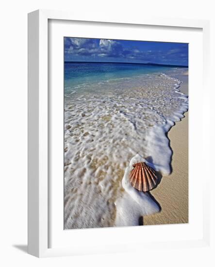 Scallop Shell in the Surf-Martin Harvey-Framed Photographic Print