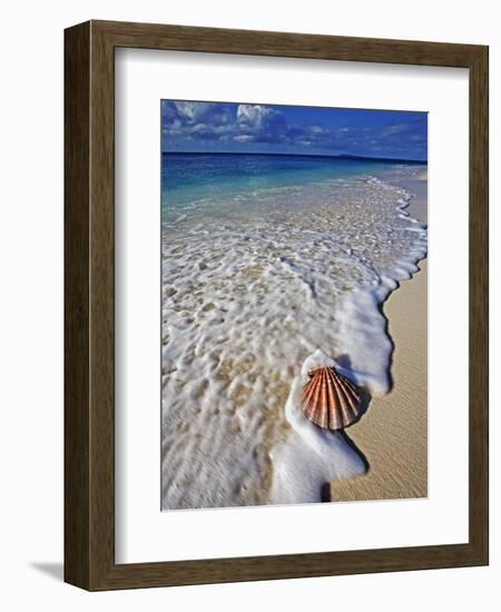 Scallop Shell in the Surf-Martin Harvey-Framed Photographic Print