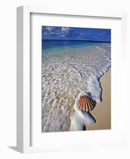 Scallop Shell in the Surf-Martin Harvey-Framed Photographic Print