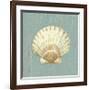 Scallop Shell-Lisa Danielle-Framed Giclee Print