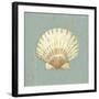 Scallop Shell-Lisa Danielle-Framed Art Print