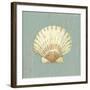 Scallop Shell-Lisa Danielle-Framed Art Print